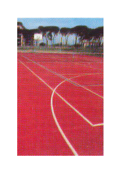 FIBROGUM TENNIS